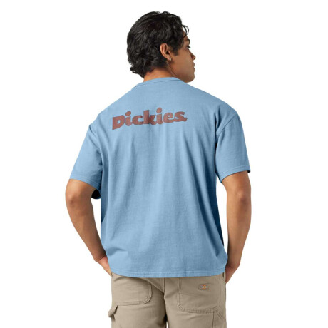 Remera Dickies Slayden Multicolor
