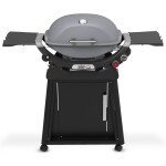 Weber Q2800 Gris Weber Q2800 Gris