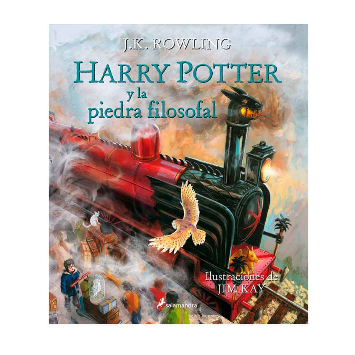 Libro Harry Potter y La Piedra Filosofal con Ilustracion 