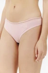Colaless Elisa Rosa