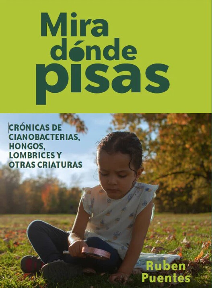 MIRA DONDE PISAS 