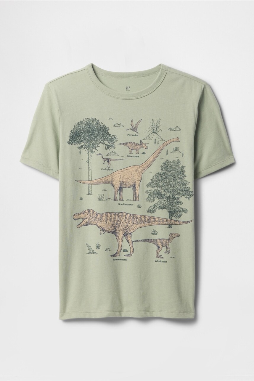 Remera Gráfico Niño Desert Sage