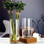 FLORERO VIDRIO D15/H40CM FLORERO VIDRIO D15/H40CM
