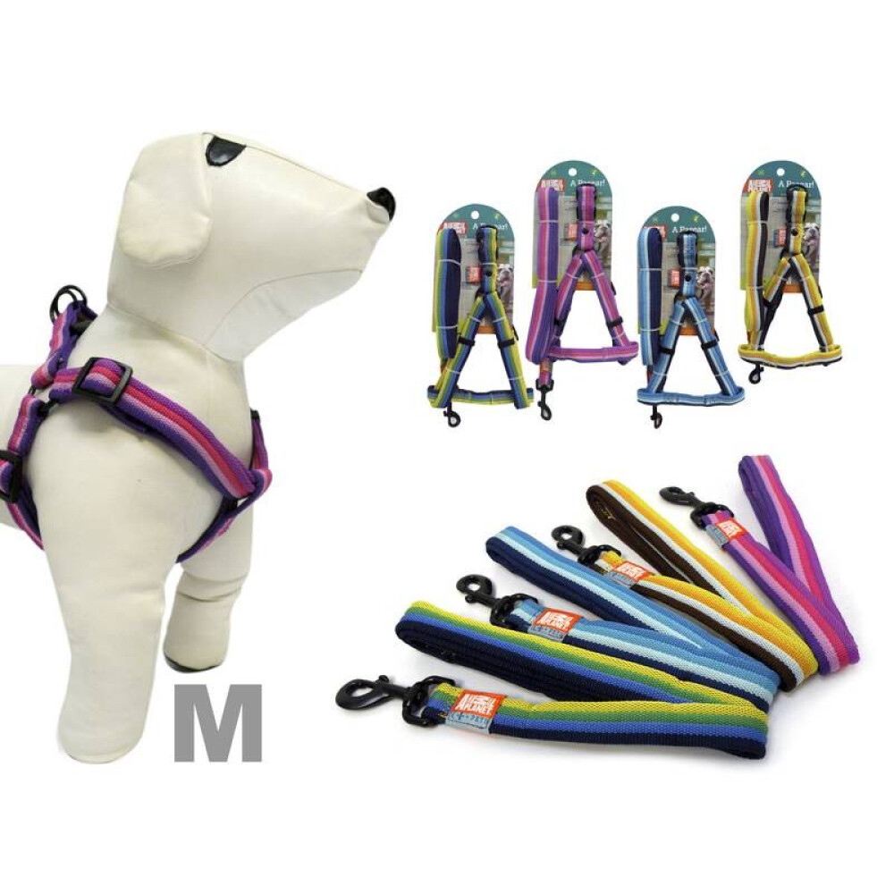 ARNÉS + CORREA PARA MASCOTAS M ARNÉS + CORREA PARA MASCOTAS M