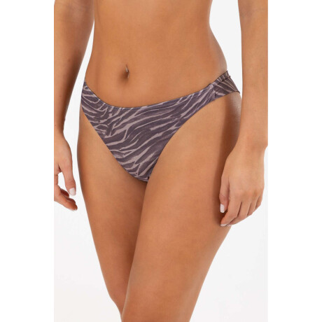 Colaless soft est. Dark zebra