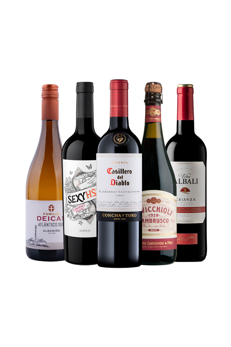 Pack Bacán Selección Mixed Mood x5 vinos 