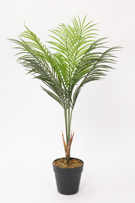 Planta Palmera Areca 80cm Color Unico