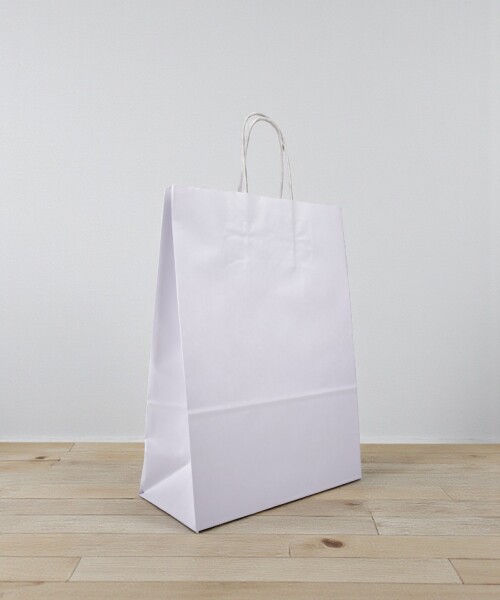 Bolsa lisa luna 22x10x30 cm - BLANCO Bolsa lisa luna 22x10x30 cm - BLANCO