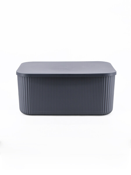 CAJA ORGANIZADORA CON TAPA GRIS