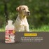 CLORHEXIDIN FORTE SHAMPOO FCO 200 ML CLORHEXIDIN FORTE SHAMPOO FCO 200 ML