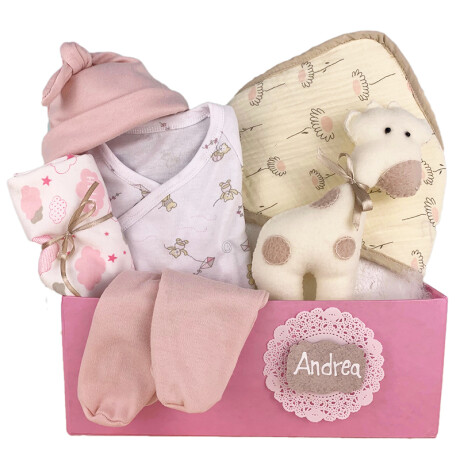 Ajuar Primera Muda Personalizado – Rosa Ajuar Primera Muda Personalizado – Rosa