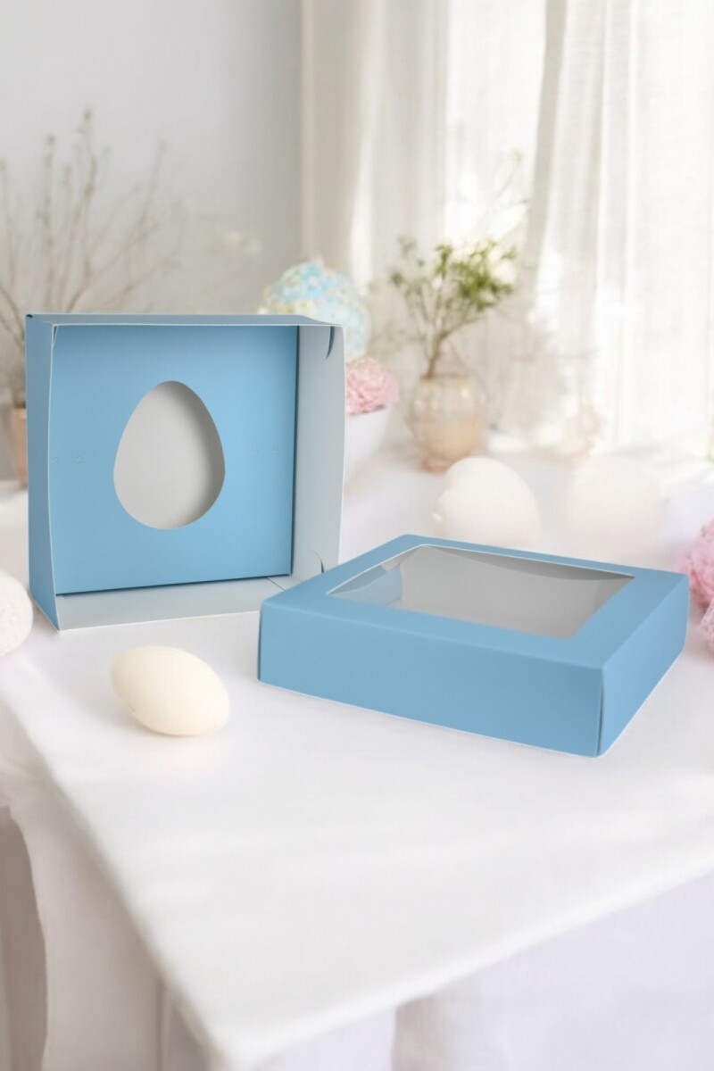 Caja 20x20x9,5 c/visor. - CELESTE 