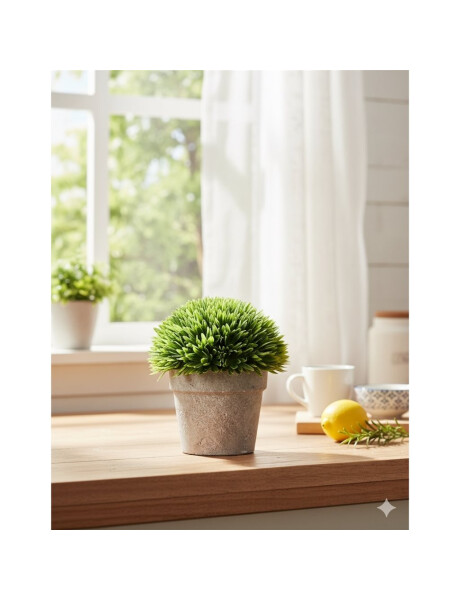 PLANTA LOTO EN MACETA H18X14CM PLANTA LOTO EN MACETA H18X14CM