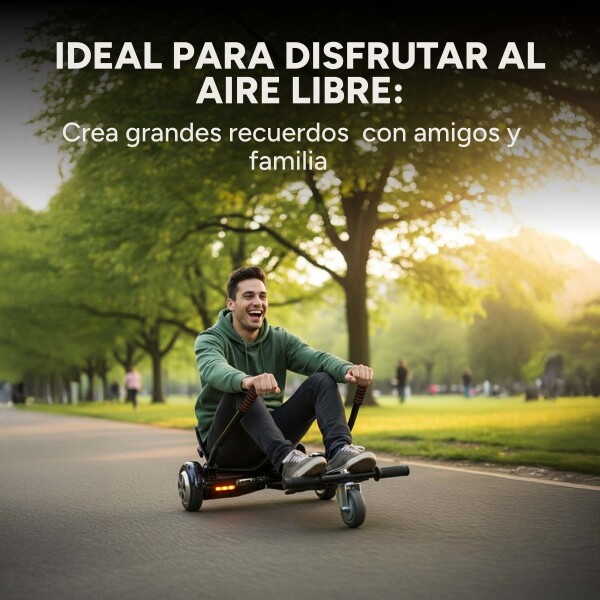 Asiento Para Hoverboard Hovercart Patineta Electrica GoGreen Variante Color Negro