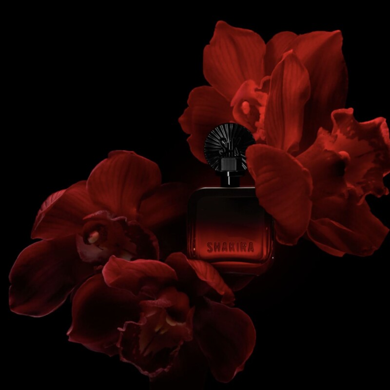 Perfume Shakira SHK Collection Rojo Elixir EDP 50ml Para Mujer Aroma Floral Perfume Shakira SHK Collection Rojo Elixir EDP 50ml Para Mujer Aroma Floral