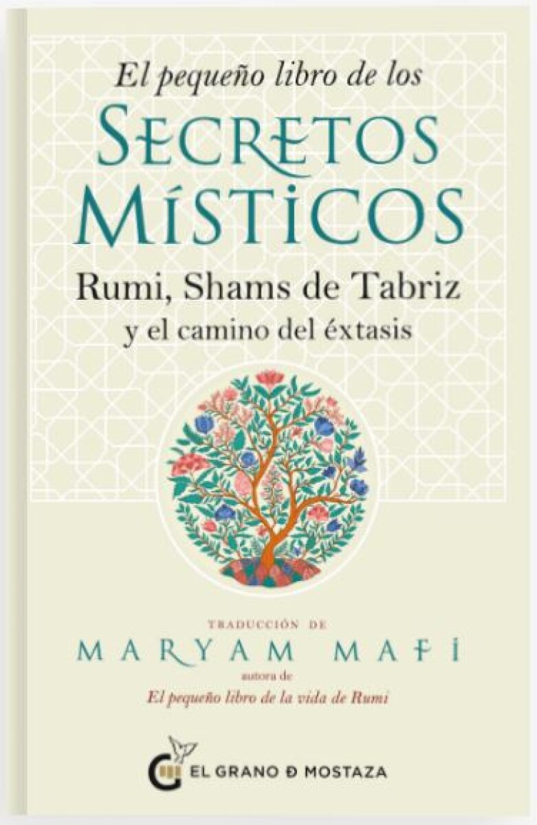 El pequeño libro de los secretos místicos 