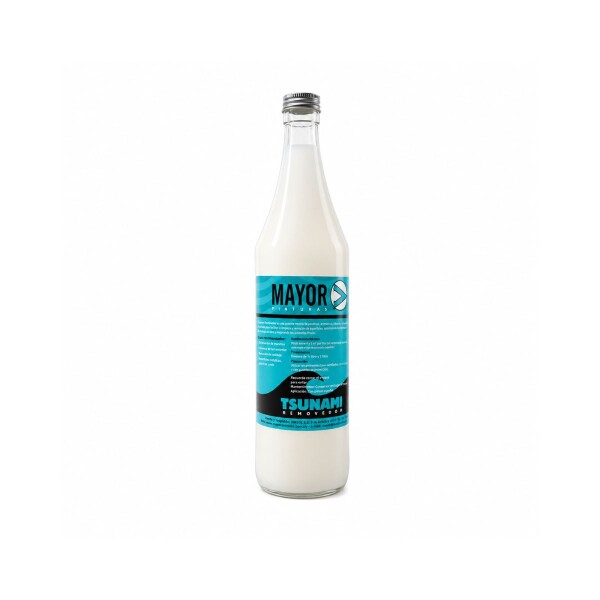REMOVEDOR DE PINTURA EN GEL MAYOR 1LT Removedor De Pintura En Gel Mayor 1lt