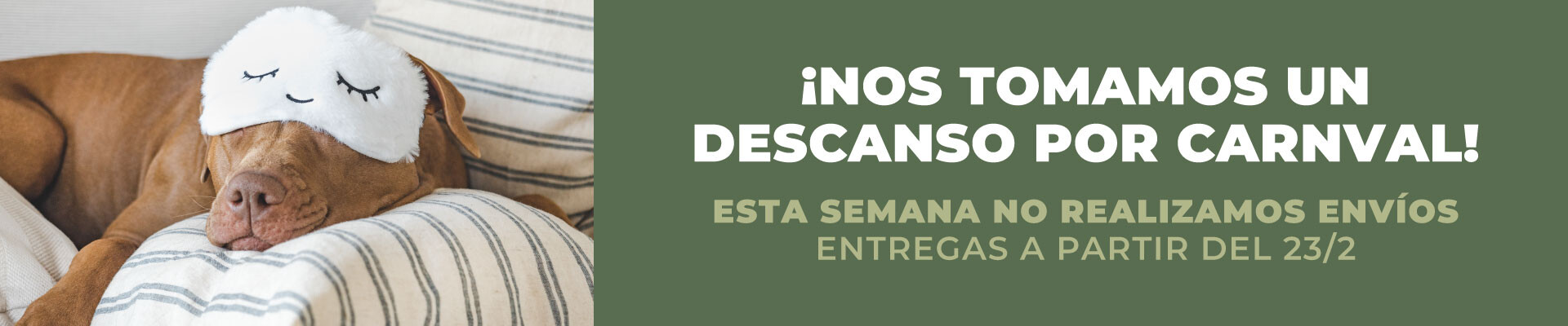 cerrados por carnaval