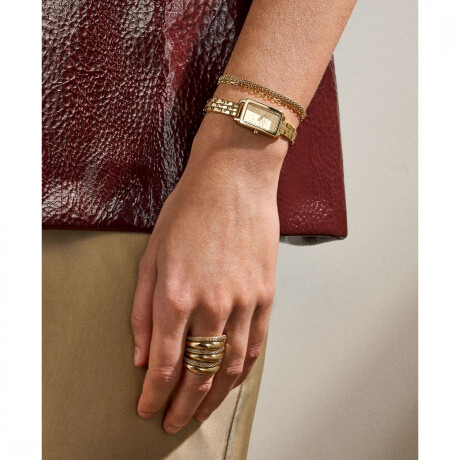 Reloj Skagen Traditional Oro 0