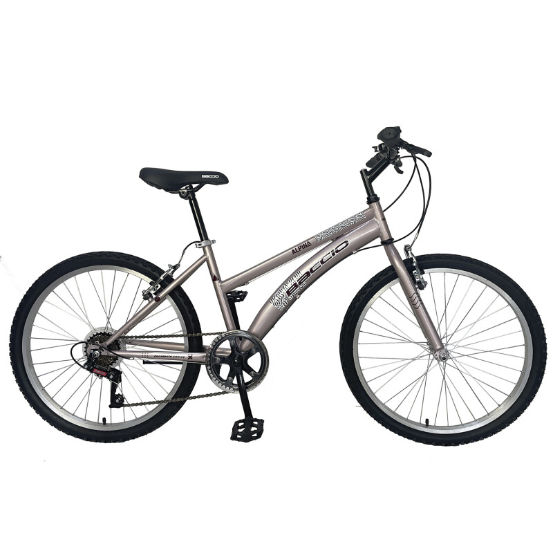 Bicicleta Baccio Alpina Lady Montaña rodado 24 con 6 cambios ROSA