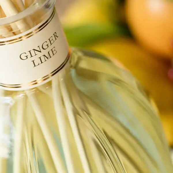 AROMATIZADOR GINGER LIME - - Large