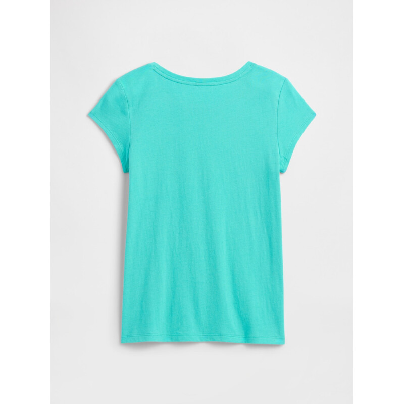 V-APR SS VAL GR BUTTERFLY ICON