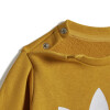 Conjunto Adidas de Niños - IY4025 Mostaza