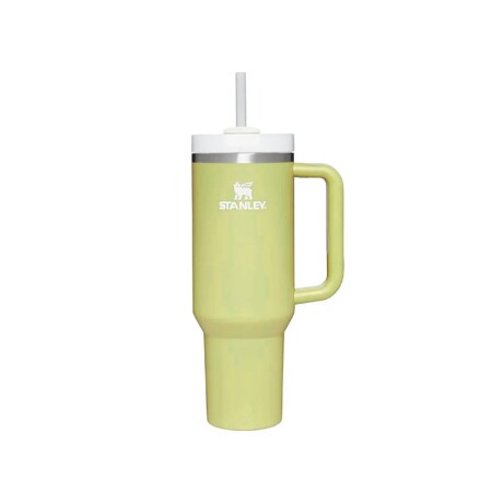 JARRA STANLEY TERMICA THE FLOWSTATE QUENCHER 30 OZ VERDE AGUA JARRA STANLEY TERMICA THE FLOWSTATE QUENCHER 30 OZ VERDE AGUA