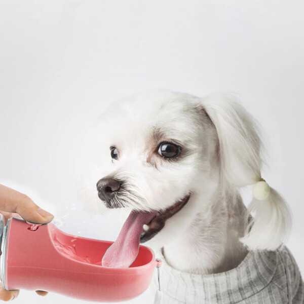 Bebedero Portatil Mascotas Botón Dispensador Agua Viaje Color Variante Rosa