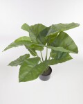 Planta artificial Alocasia Odora con maceta negro 57 cm Planta artificial Alocasia Odora con maceta negro 57 cm