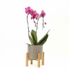 ORQUIDEA CURVA CON MACETA GRIS CLARO Y SOPORTE