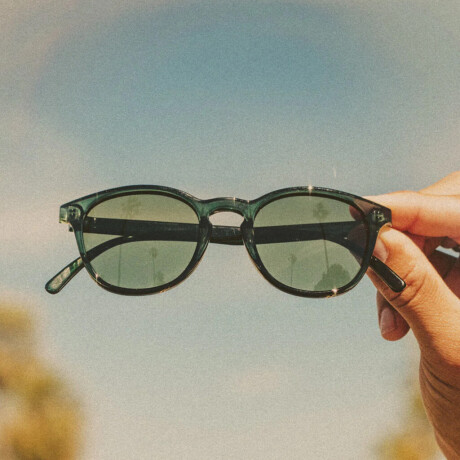 Lentes Sunski Yuba Deep Green Forest