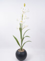 Planta Orquídea Color Unico
