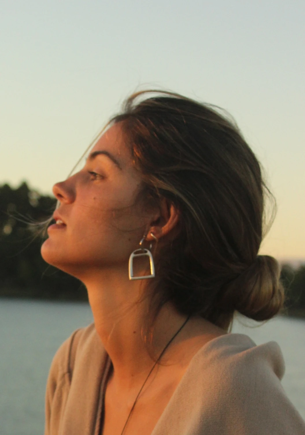 Estribo Earrings