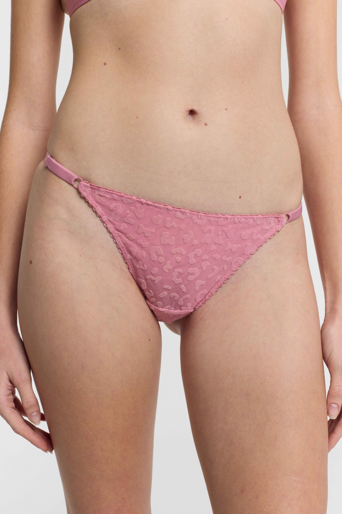 Colaless Isadora Rosa Tostado