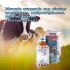 ANTIPARASITARIO INYECTABLE PARA PORCINOS Y BOVINOS – BACTROVET 50 ML ANTIPARASITARIO INYECTABLE PARA PORCINOS Y BOVINOS – BACTROVET 50 ML