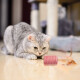 Juguete Para Gato Cilindro Sisal Juguete Para Gato Cilindro Sisal