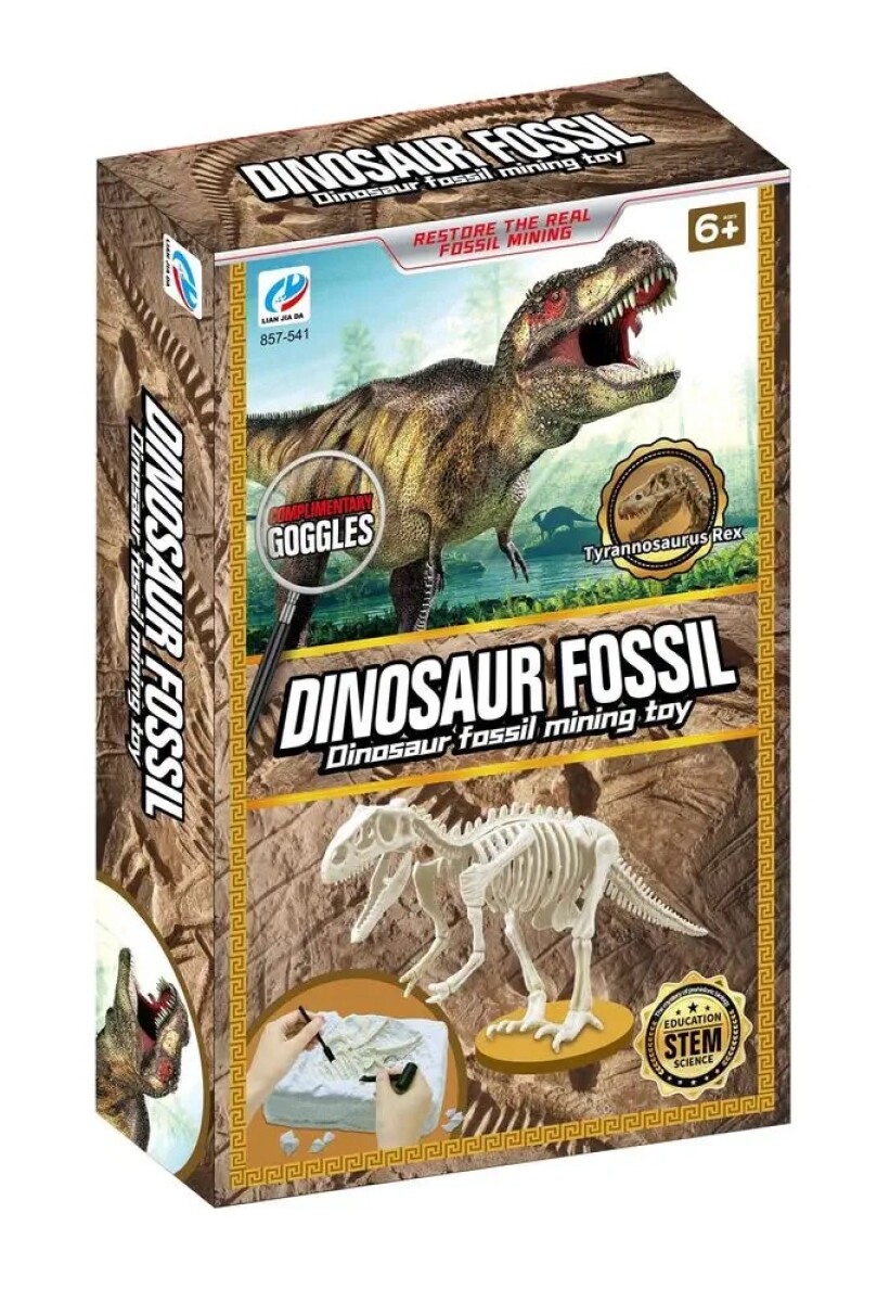 Kit de excavación de fósiles de dinosaurio 