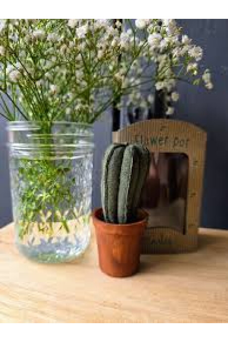 CACTUS Y MACETA CACTUS Y MACETA