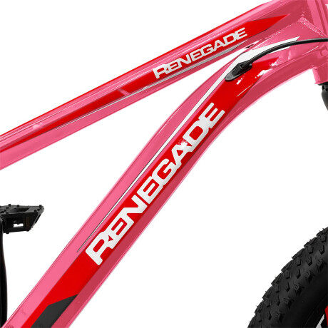 Bicicleta Montaña Rodado 20 Frenos Disco 21 Cambios Rosa