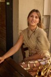 Chic Chall Dorado