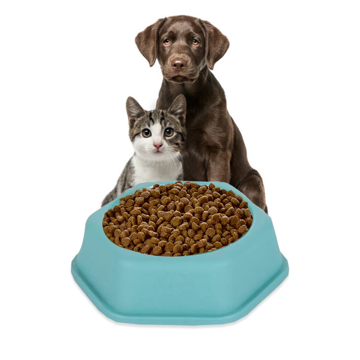 Tazon De Comida Agua Perro Gato Mascotas Comedero Calidad - Variante Color Celeste 