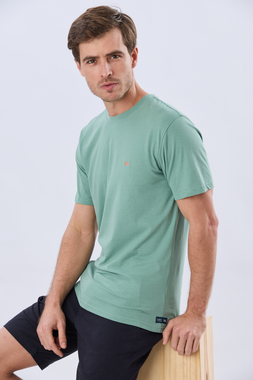 REMERA BÁSICA DE ALGODÓN Menta