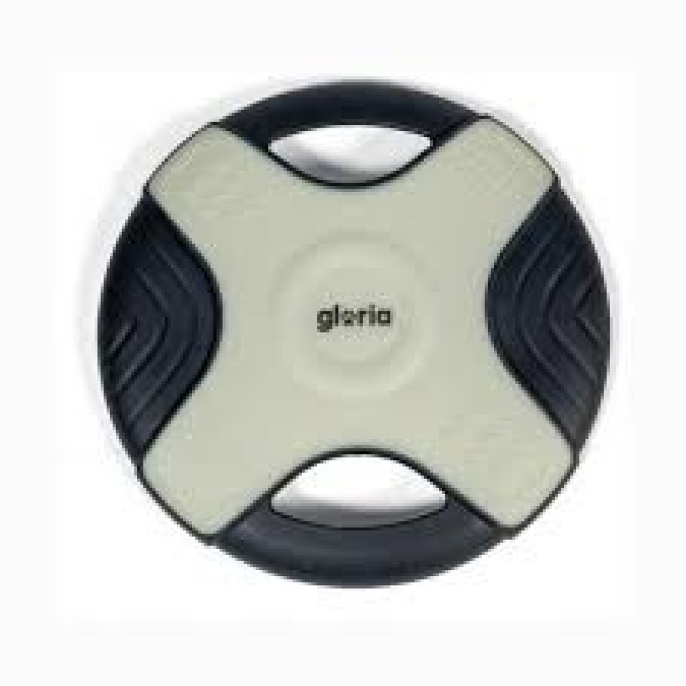 FRISBEE EASY CATCH PLAY AND RUN BRILLA EN LA OSCURIDAD 25CM FRISBEE EASY CATCH PLAY AND RUN BRILLA EN LA OSCURIDAD 25CM