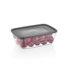 Vianda rectangular 1.2 L QLUX IDEAS Vianda rectangular 1.2 L QLUX IDEAS