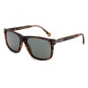 Lentes de Sol Chilli Beans Marsella Animal Print