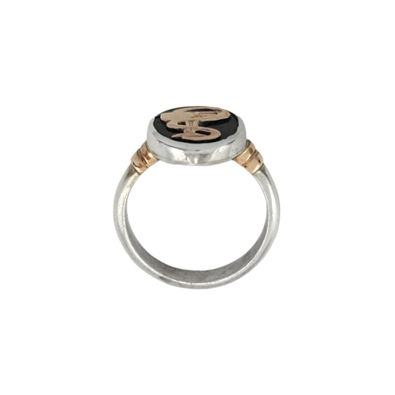 Anillo Profesión Químico Farmacéutico -Plata y Oro- Con Piedra Ónix -AP5053 sinpiedra