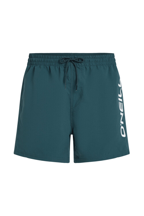 Short O'Neill Swim Trunk Azul