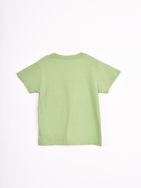 REMERA THIAGO VERDE (V)
