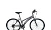 Bicicleta ALPINA LADY - Rodado 24 - Baccio Gris